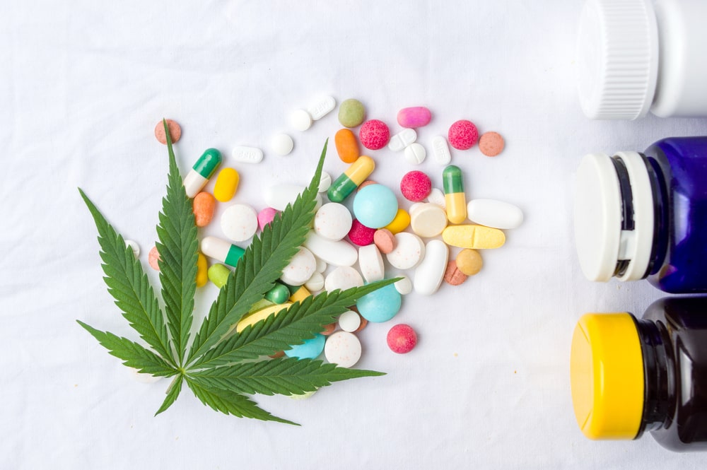 Risks of Consuming Cannabis With Antibiotics